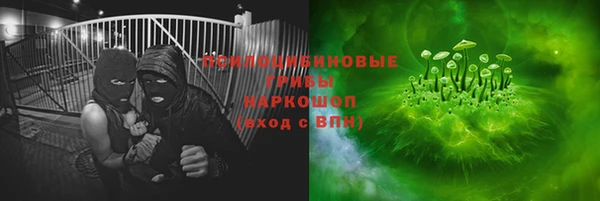 мет Алексин