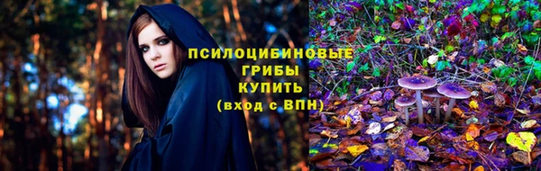 не бодяженный Алзамай